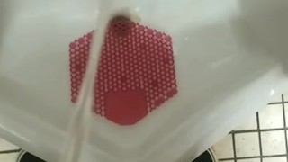 Here's some pee for you fetish freaks . 