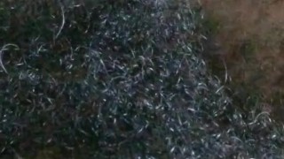 Ooopsie ... I made a lil' mess. 