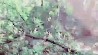 Slutboyben CAM4 Nympho Cock 🌶🌶🌶🌶🌶