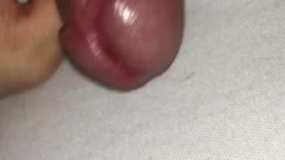 Robert Cum 7
