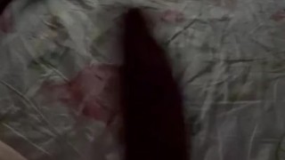 Il mio primo video!