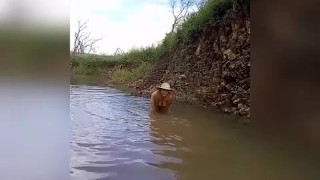 Visitando la cantera parte II