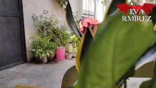 I love to show myself in the garden inviting my neighbor to see me