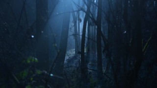 O My Goddess - Summon me, mortal! Erotic Audio by Eve's Garden [Audio only][Supernatural]