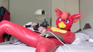 Rubber Bird Jerking Off and Filling Condom (Rubber Murrsuit)
