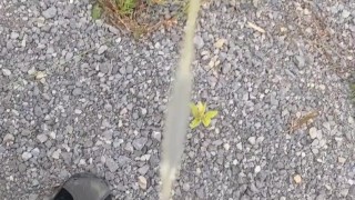 Taking a piss on country road
