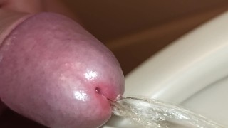 close up uncutted foreskin morning pee