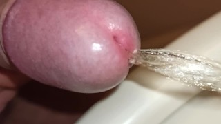 close up uncutted foreskin morning pee