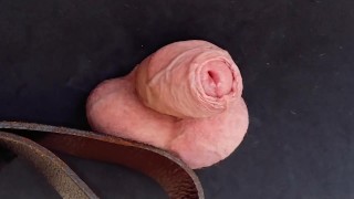Hour long CBT session including balls slapping, hot wax play and e-stim teasing until cum leaks out