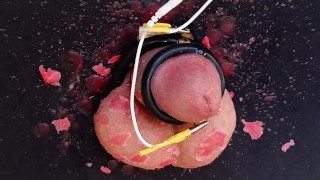 Hour long CBT session including balls slapping, hot wax play and e-stim teasing until cum leaks out