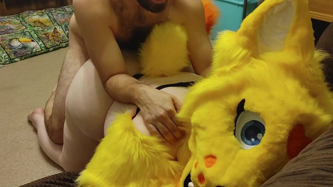 Furry pounded from behind - Бесплатное порно - YouPorn