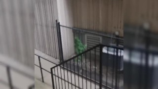 Chub Sissy Exposed in Womans Swim Suit in The Rain