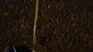 Piss next to road