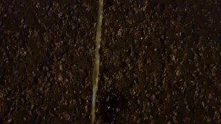 Piss next to road