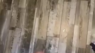Huge cum load 