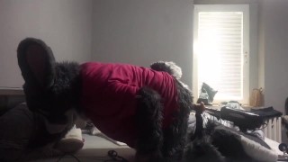 Murrsuit bunny taking a huge dildo on a fuck machine
