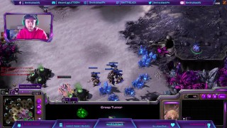 zerg vs protoss domination