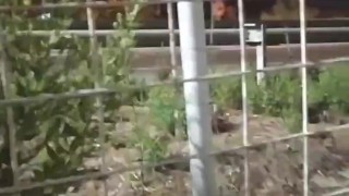 Handjob night | Paja nocturna