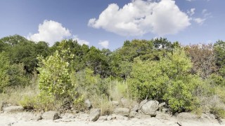 Sweaty runner does exercises outside