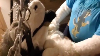 Sex Swing at DenFur 😈