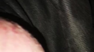 Waxed bollocks