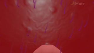 3D Spider Reverse POV