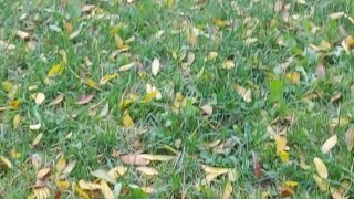 Busting a nut in public