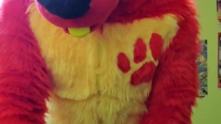 FireStorm Playing With His Favorite Toy