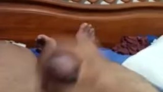 Mi polla quiere tú colo