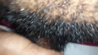 I wish you could smell my hairy cock