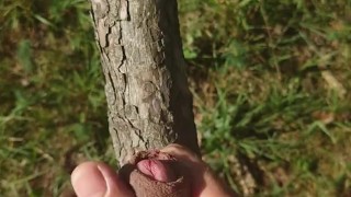 Wichsen im Wald