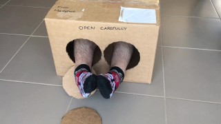 Surprise Delivery Series - Lucky magic cat ankle socks - Big Male Feet to Worship inside - Manlyfoot
