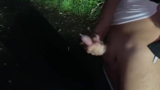 Outdoor Cum