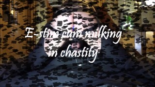 Electro cum milking mit led butt plug