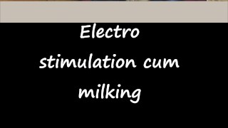 Electro stimulation cum milking