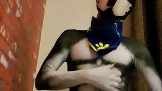 Puppy play time - play with my cock