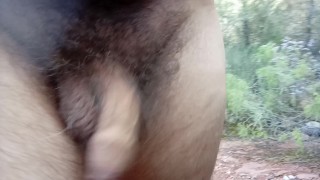 Desnudo por el bosque