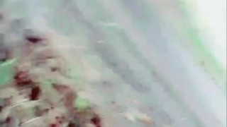 Slutboyben CAM4 Sexy Cruising Chick XXIII