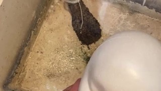 Imagine me pissing on your face and lips and in your mouth