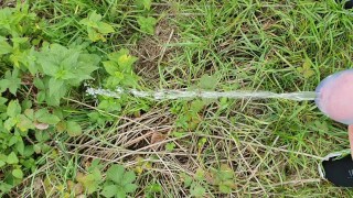 Piss in nature with chastity belt