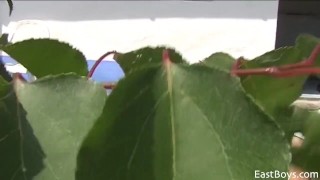Young Village Boys Fucking Bareback