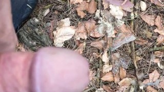 pissing in the wood