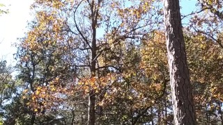 Almost got caught got stripping