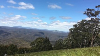 My favourite spot to soak up the sunshine on my feet on such a beautiful day 🌞- MANLYFOOT
