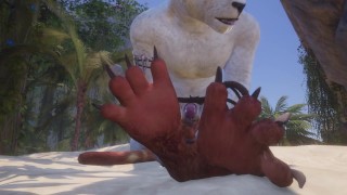 Two Gay Male Lions Creaming Each Other (POV & Paw Shots) | Wild Life Furries