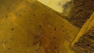 Outdoor pissing Sluts I Pablo y Sebas