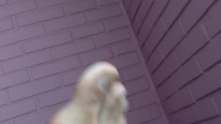 My feet for your pleasure 
