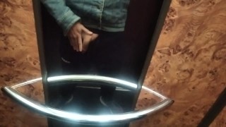 Will you walk me home and suck my cock in the elevator? and if they catch us? flacid and wet