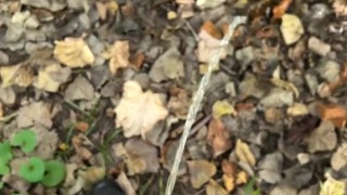 Eddie De Luca Pissing In Woods [PREVIEW]