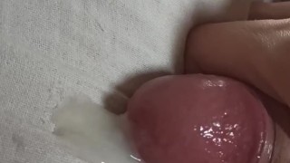 Acordei e pau duro e gozei no travesseiro